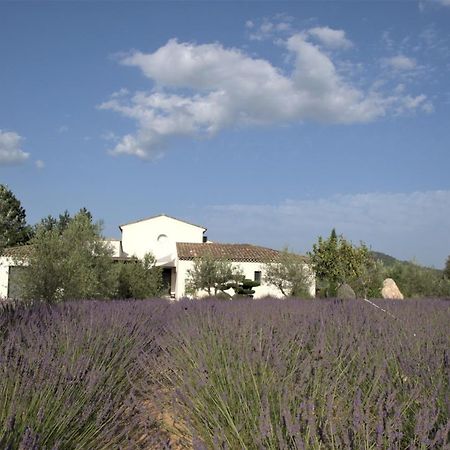 Rians  Villa Otilia-Bed And Breakfast-Chambres D'Hotes En Provence المظهر الخارجي الصورة
