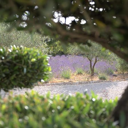 Rians  Villa Otilia-Bed And Breakfast-Chambres D'Hotes En Provence المظهر الخارجي الصورة