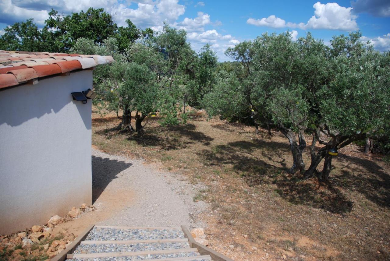 Rians  Villa Otilia-Bed And Breakfast-Chambres D'Hotes En Provence المظهر الخارجي الصورة