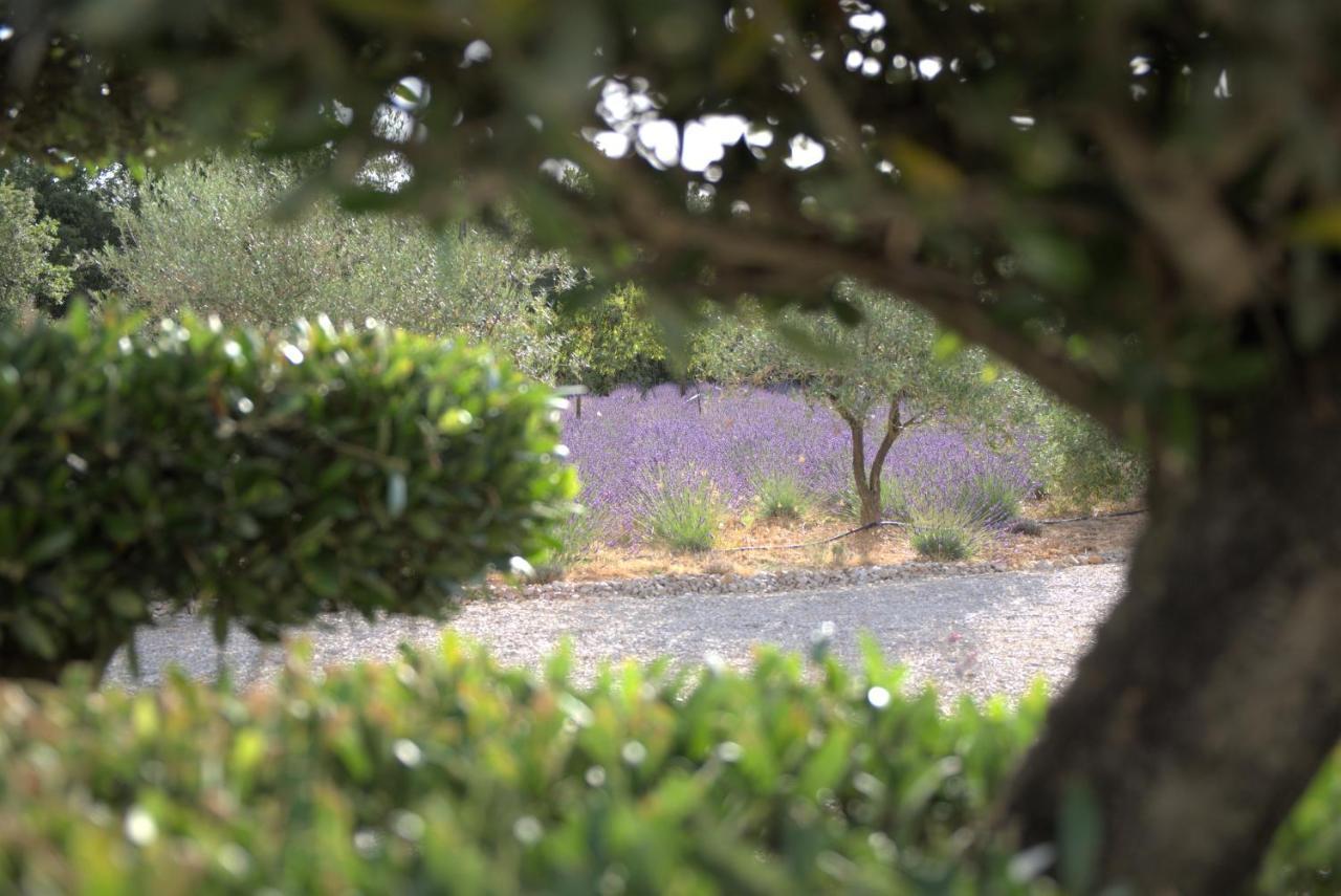 Rians  Villa Otilia-Bed And Breakfast-Chambres D'Hotes En Provence المظهر الخارجي الصورة